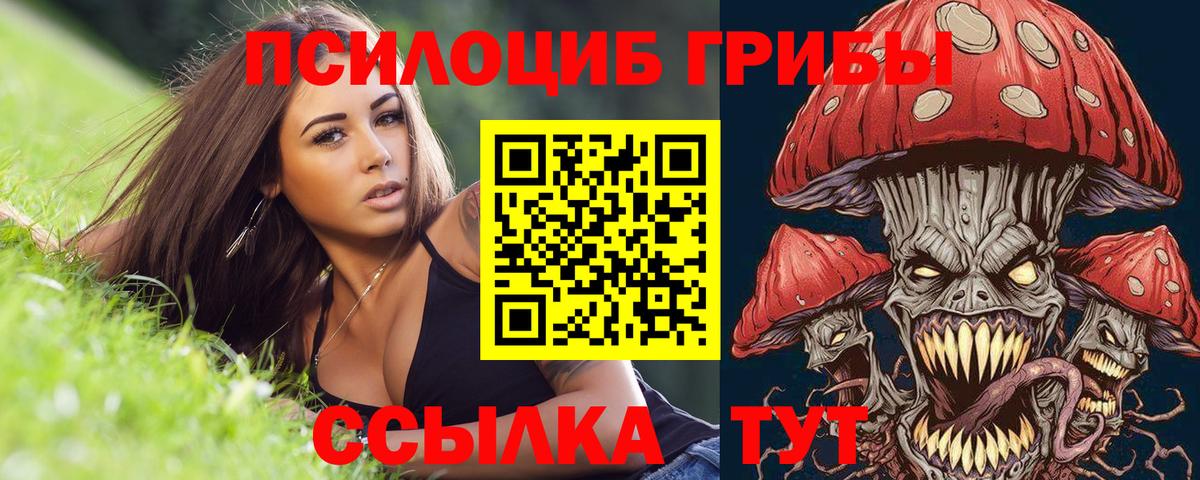 Псилоцибиновые грибы мухоморы  Вход с VPN  Кропоткин  Галлюциногенные грибы Psilocybine cubensis 